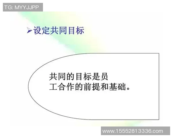 杭州足球队的团队协作之道：凝聚力与默契的完美结合