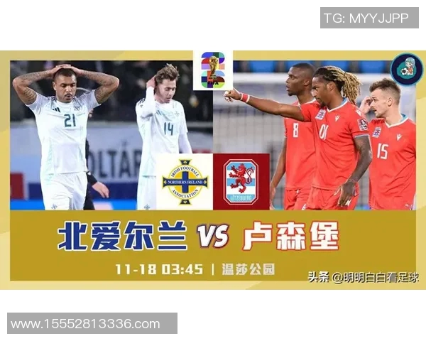 006德国对阵北爱尔兰的精彩较量回顾与分析