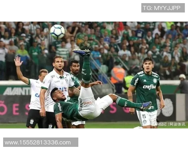 帕梅拉斯与累体育2017年精彩对决回顾与分析