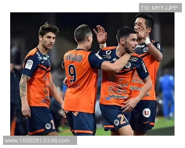 格勒诺布尔与红星的激烈对决展现足球魅力与战术智慧的巅峰较量 格勒诺布尔与红星的激烈对决展现足球魅力与战术智慧的巅峰较量