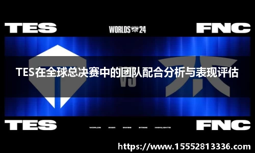 TES在全球总决赛中的团队配合分析与表现评估